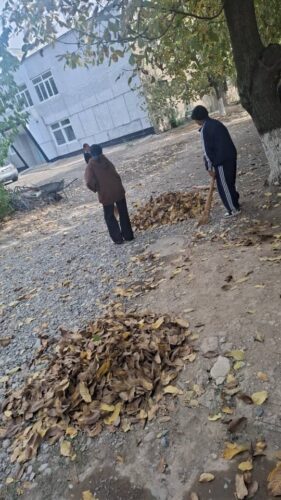 Кочкор-Ата Колледжинде өткөрүлгөн ишембилик