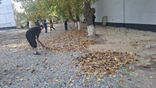 Кочкор-Ата Колледжинде өткөрүлгөн ишембилик